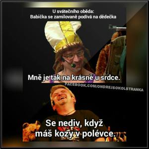 Kozy v polévce 