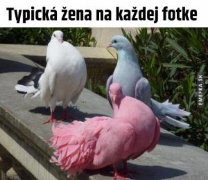Typická žena
