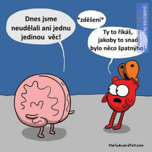 Mozek a srdce