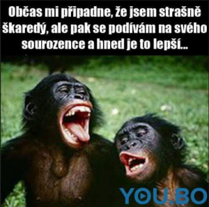 Sourozenci vždy pomohou