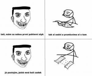 Pohlavní styk