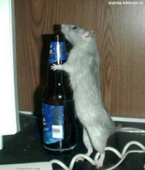 myš alkoholik