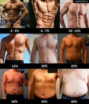 Jak vypadá tuk v těle v %
