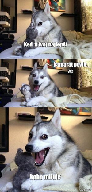 Randění s huskym mužem