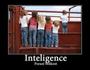 Inteligence