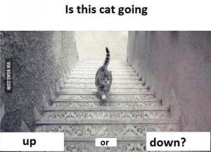 Up or down?
