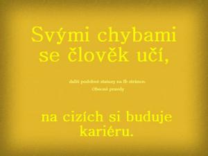 Chyby