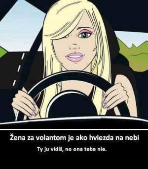 Volant