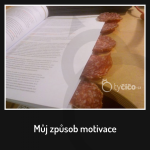 Způsob motivace