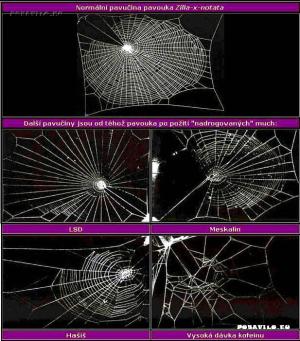 Různé typy pavučin od pavouků
