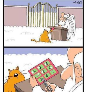 Kočička v nebi