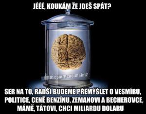 Mozek :D
