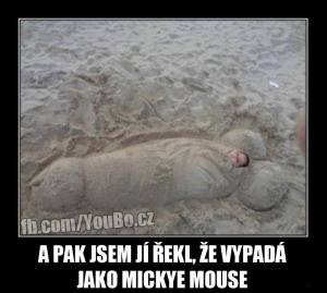 Myš