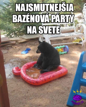 Bazénová party
