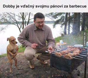 Dobby je vďečný