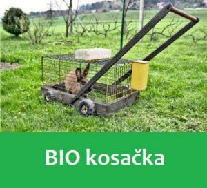 BIO kosa