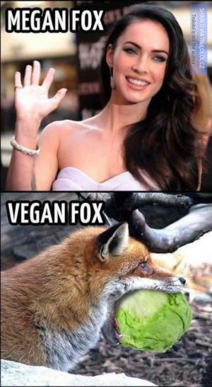 Megan Fox vs Vegan Fox