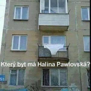Jak poznáš byt Haliny Pawlovské?