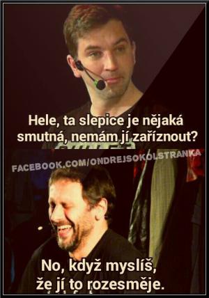 Smutná slepice