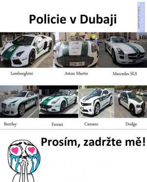Jak vypadají auta policie Dubaji?