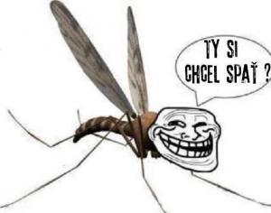 Nesnáším komáry