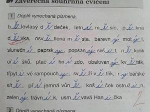 Test z Češtiny