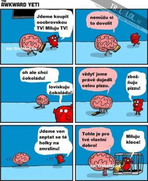 Srdce vs mozek
