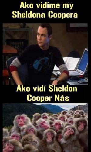 Pravda o Sheldonovi