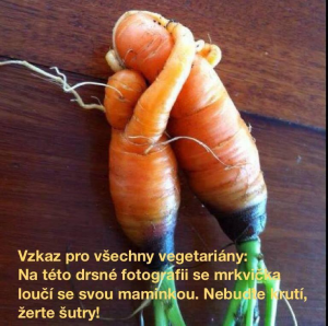 Vzkaz pro vegetariány
