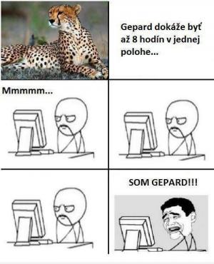 Gepard je borec