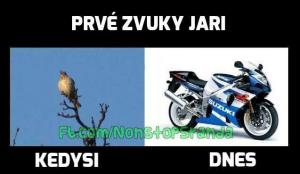 Zvuky jara