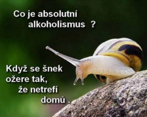 Alkoholismus