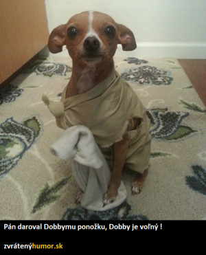 Dobby je volný!