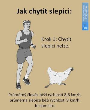 Slepice