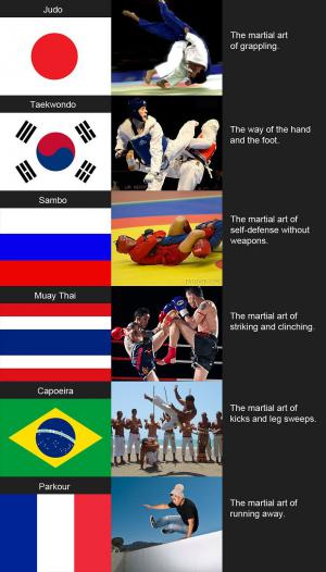 Sporty podle zemí