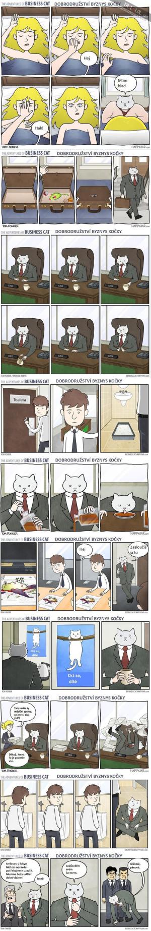 To nejlepší z Byznys kočky!