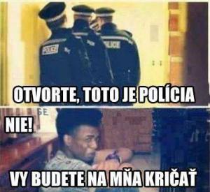 Policie