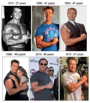 Vývoj Arnolda Schwarzeneggera