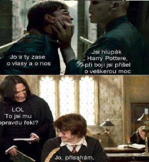 Hlupák Harry