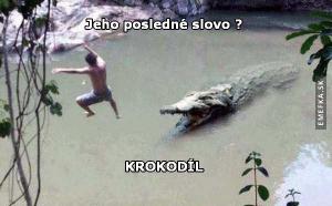 Poslední slovo