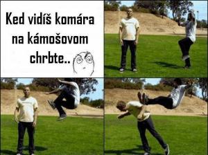 Komár