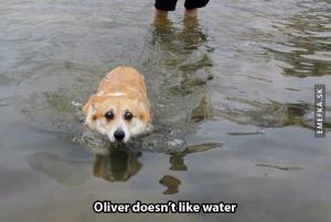 Oliver nemá rád vodu