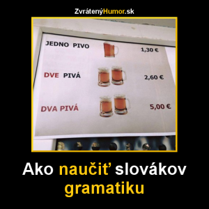 Slováci se učí gramatiku