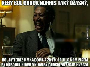 Ale né Chuck Norris je debhssisgsjsvajvwsvskgs