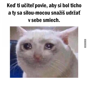 Ve škole
