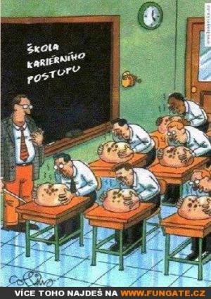 Škola kariérního postupu