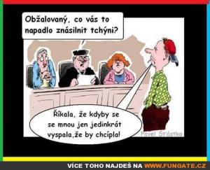 Obžalovaný, co vás to napadlo znásilnit tchyni