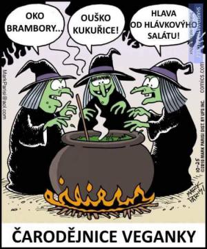 Čarodějnice veganky