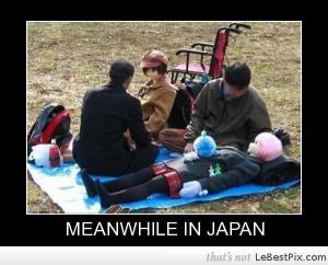 piknik po japonsku