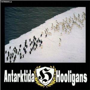 Antarktida Vs Hooligans